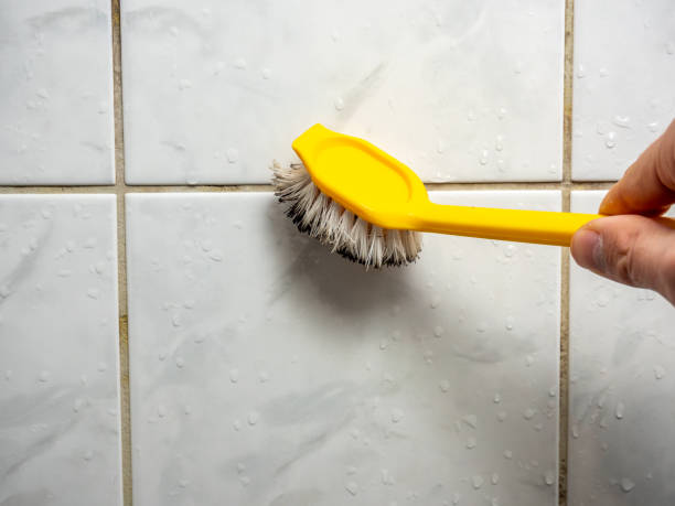 Best Commercial Mold Removal  in Jacksonville, TX