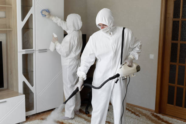 Best Mold Remediation  in Jacksonville, TX