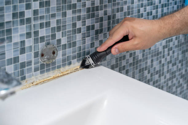Best Professional Mold Removal  in Jacksonville, TX